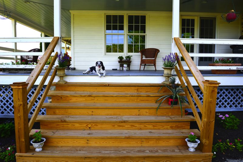 Squeaky Steps Repair in Wilmington, NC